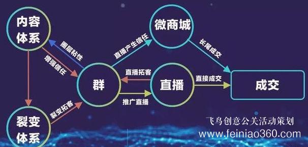 北京直播公司直播技巧 ‖ 品牌直播如何啟動，如何搭建直播運營體系
